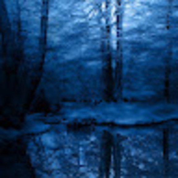 Meet your Posher, Bkalewine - Picture 1 of 1